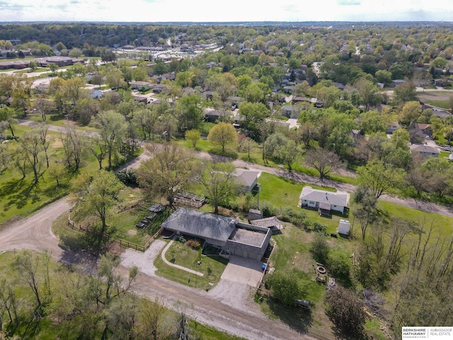 bird's eye view