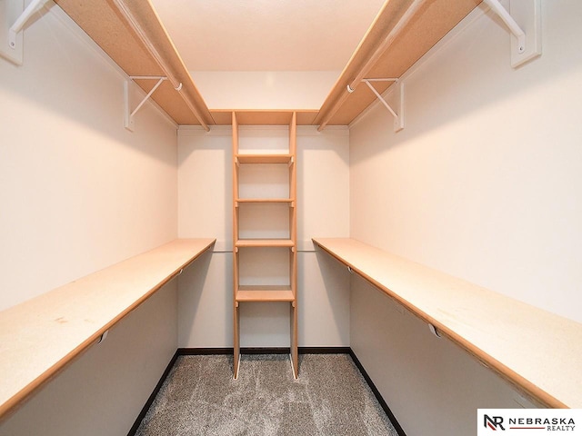 walk in closet featuring carpet and built in study area