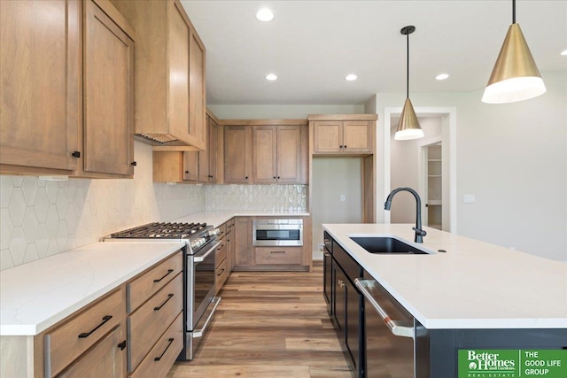5924 N 208th St, Elkhorn, NE 68022 - kitchen featuring appliances with stainless steel finishes, a sink, light wood finished floors, recessed lighting, and tasteful backsplash