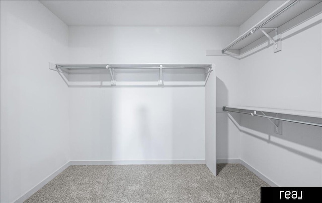 spacious closet featuring carpet flooring