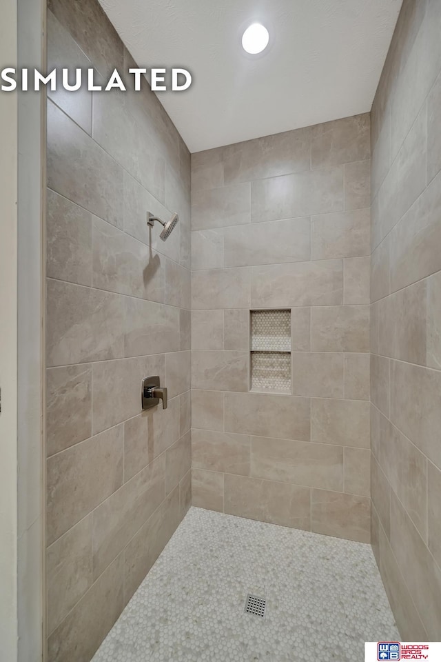 10551 Majestic Ln, Lincoln, NE 68527 - bathroom with a tile shower