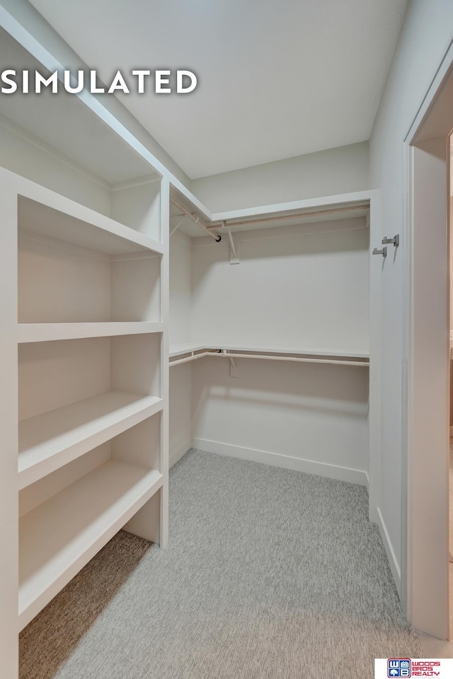 10551 Majestic Ln, Lincoln, NE 68527 - spacious closet featuring carpet