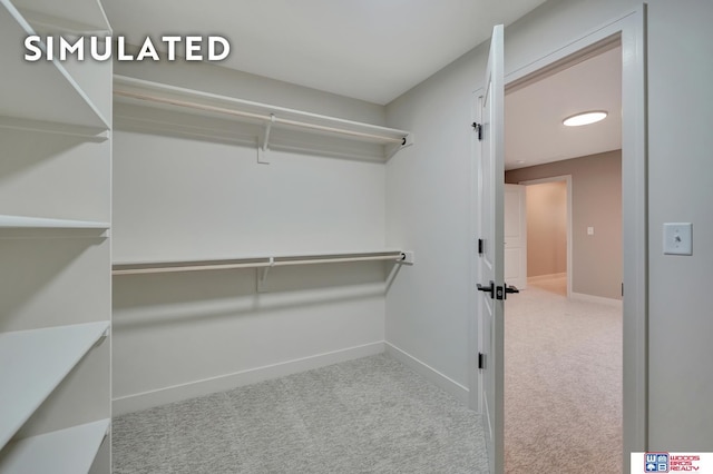 10551 Majestic Ln, Lincoln, NE 68527 - walk in closet featuring carpet floors