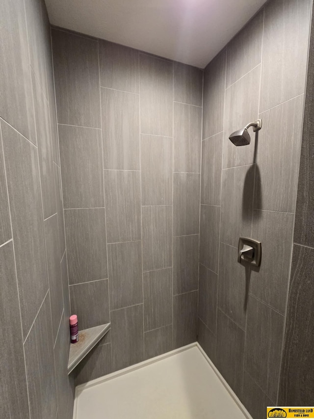 full bathroom with tiled shower