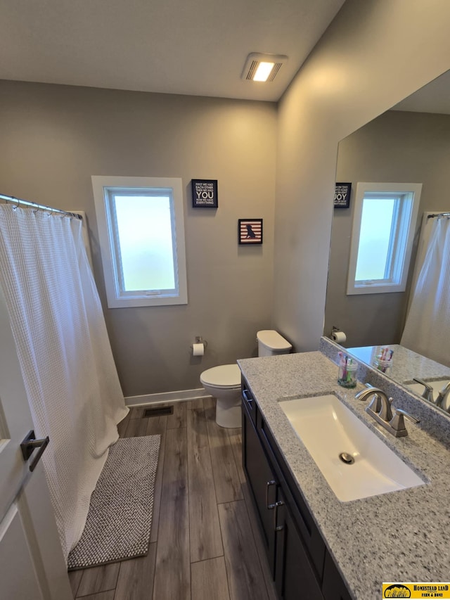 bathroom with toilet, plenty of natural light, vanity, and wood finished floors