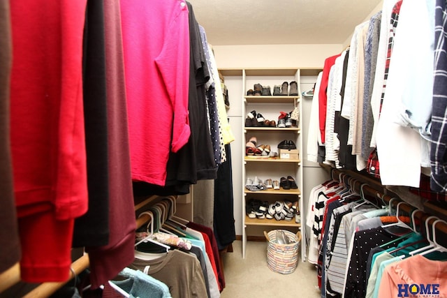 spacious closet with carpet