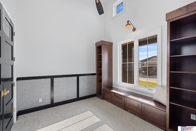 676 Waterford Pointe Pointe, Ashland, NE 68003 - carpeted empty room featuring plenty of natural light and a towering ceiling