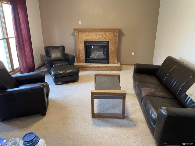 living area featuring carpet floors and a premium fireplace
