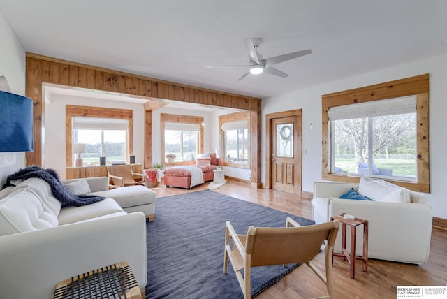 living room with ceiling fan and light wood-style floors