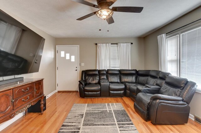 161 S Linden St, Wahoo, NE 68066 - living area featuring a ceiling fan, light wood-style flooring, and baseboards