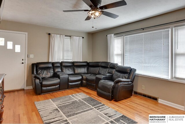 161 S Linden St, Wahoo, NE 68066 - living area featuring ceiling fan, baseboards, and light wood-type flooring