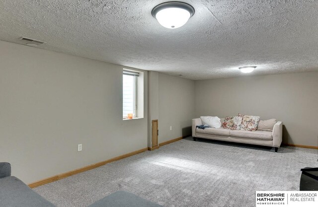 161 S Linden St, Wahoo, NE 68066 - living area featuring carpet, baseboards, and a textured ceiling
