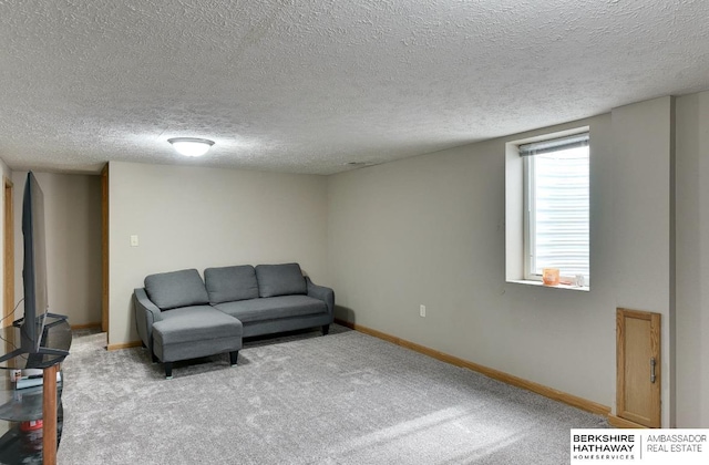 161 S Linden St, Wahoo, NE 68066 - living area featuring carpet floors, baseboards, and a textured ceiling