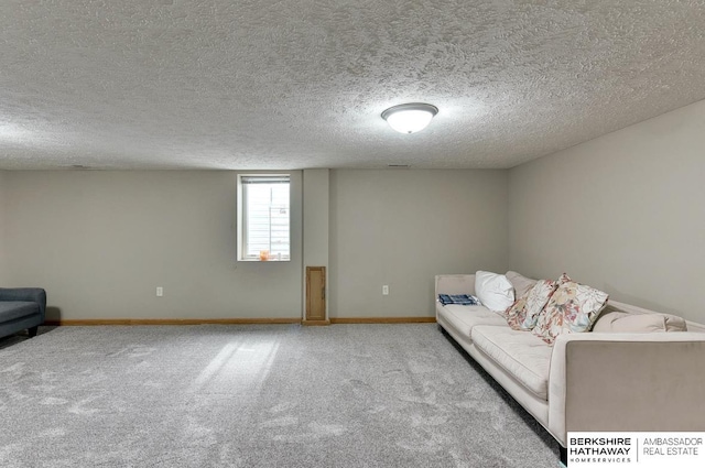 161 S Linden St, Wahoo, NE 68066 - living area featuring carpet floors, baseboards, and a textured ceiling