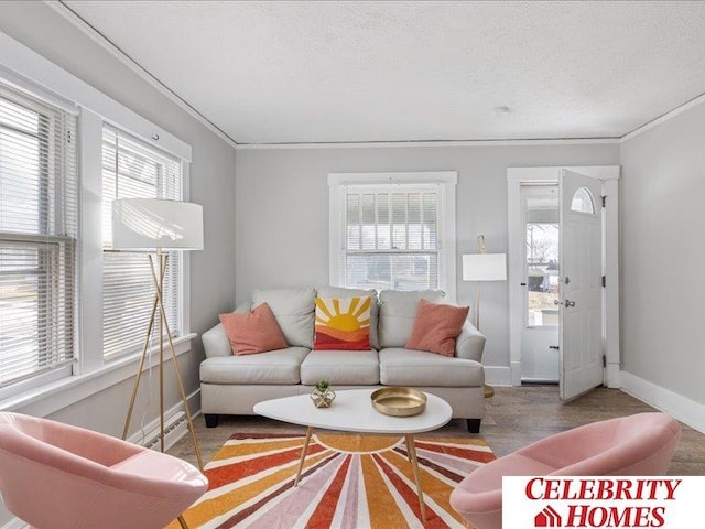 3361 N 59th St, Omaha, NE 68104 - living area featuring a textured ceiling, a healthy amount of sunlight, baseboards, and ornamental molding