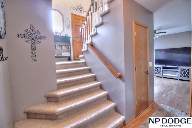 staircase featuring wood finished floors and ceiling fan