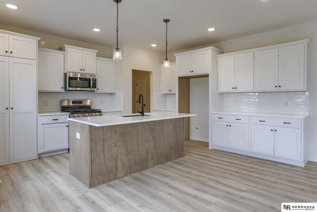 11014 N 161st St, Bennington, NE 68007 - kitchen featuring a sink, backsplash, light wood finished floors, and stainless steel appliances