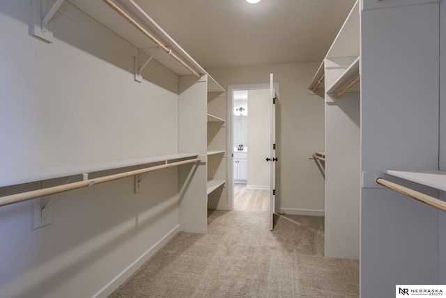 11014 N 161st St, Bennington, NE 68007 - walk in closet featuring light carpet
