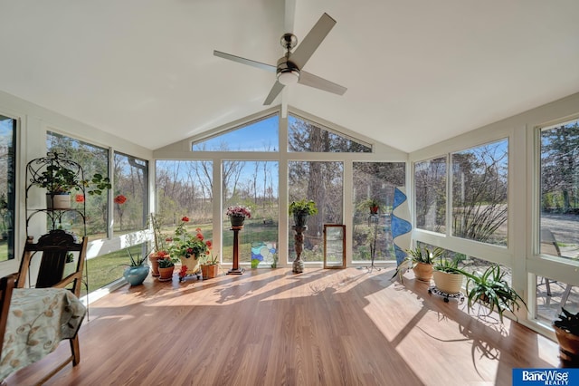 sunroom / solarium featuring ceiling fan, wood finished floors, and vaulted ceiling