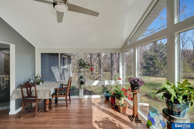 sunroom / solarium with wood finished floors and high vaulted ceiling