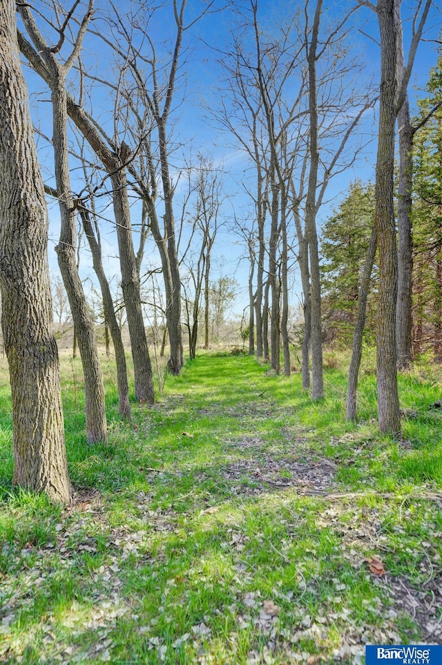 view of nature