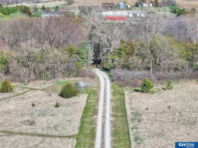 bird's eye view