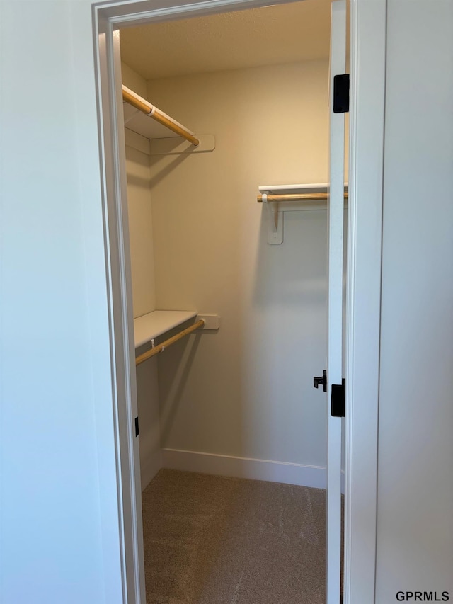 5412 N 190th Ave, Elkhorn, NE 68022 - walk in closet featuring carpet