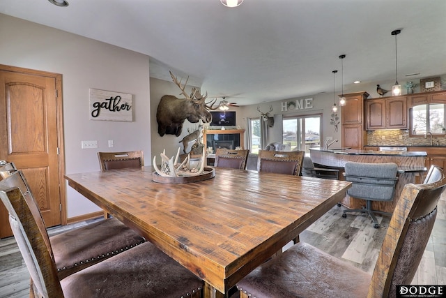 dining space featuring a tiled fireplace and light wood-style flooring