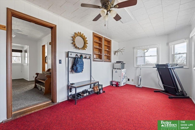 exercise room with carpet flooring and a ceiling fan