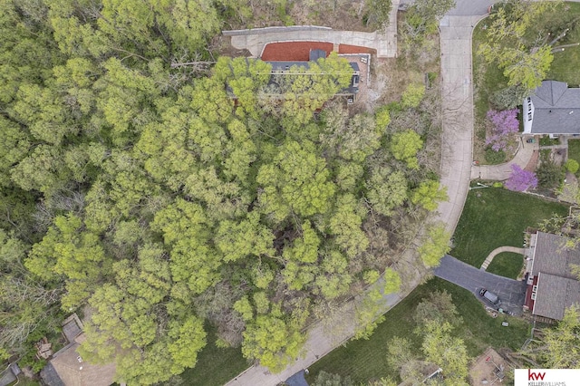 bird's eye view