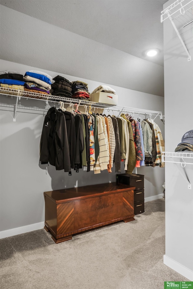 spacious closet featuring carpet flooring