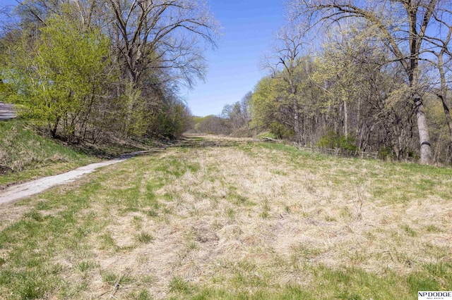 TBD Ridgewood Dr, Bellevue, NE 68005
