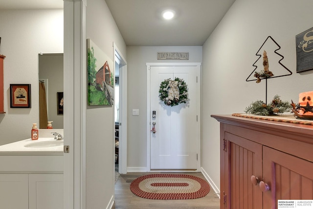doorway with baseboards, a sink, and wood finished floors