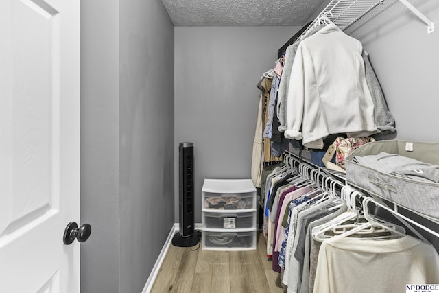 walk in closet featuring wood finished floors