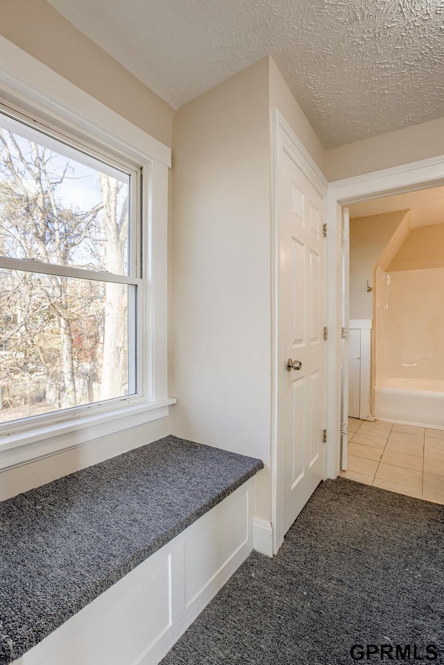 mudroom featuring carpet flooring, tile patterned flooring, and a textured ceiling