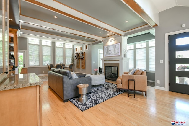 living room featuring baseboards, wood finished floors, and a wealth of natural light