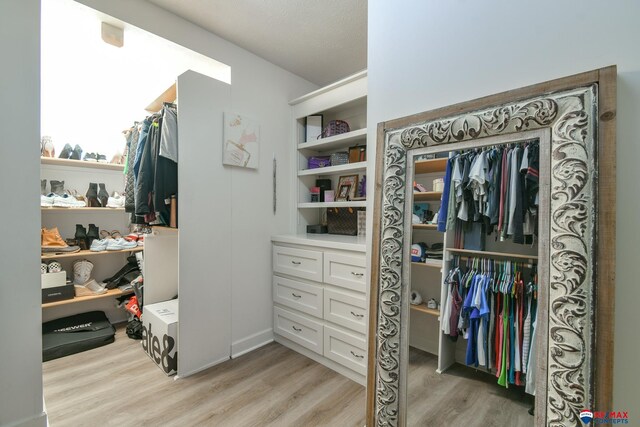 walk in closet featuring light wood-style floors