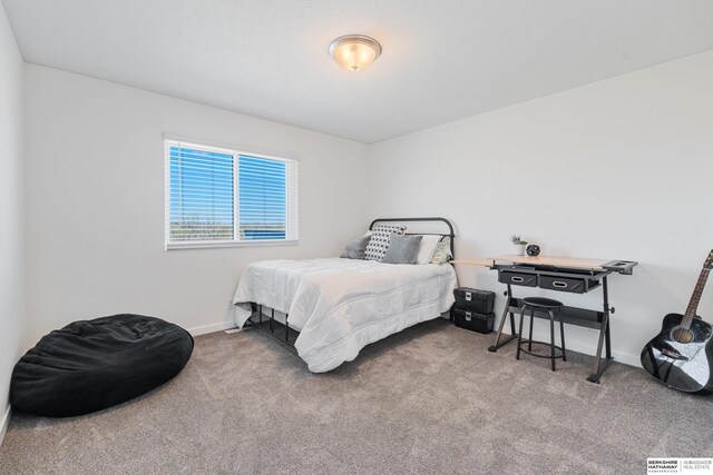 6315 N Hws Cleveland Blvd, Omaha, NE 68116 - carpeted bedroom with baseboards