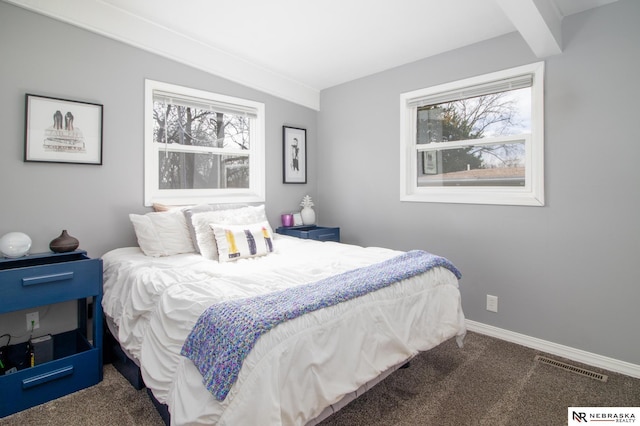 bedroom featuring carpet floors, visible vents, baseboards, and multiple windows