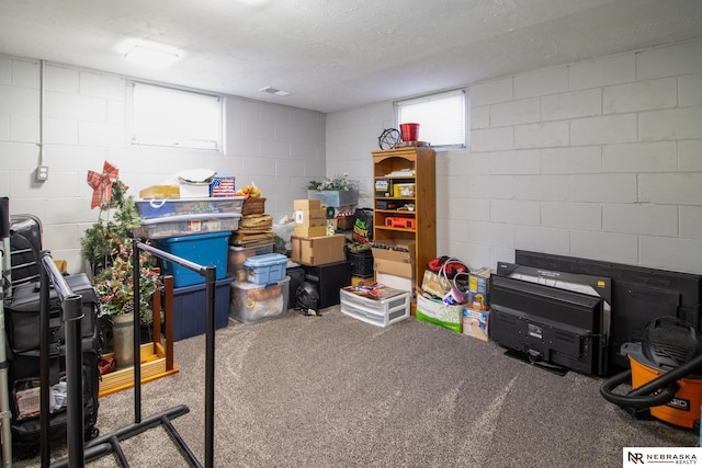 basement featuring concrete block wall and carpet flooring