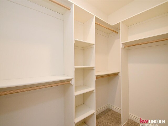 walk in closet with carpet floors