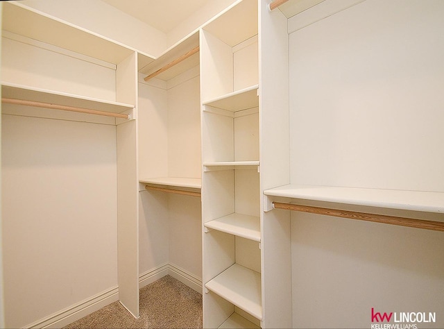 view of walk in closet