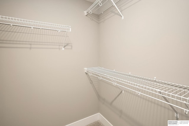 view of spacious closet
