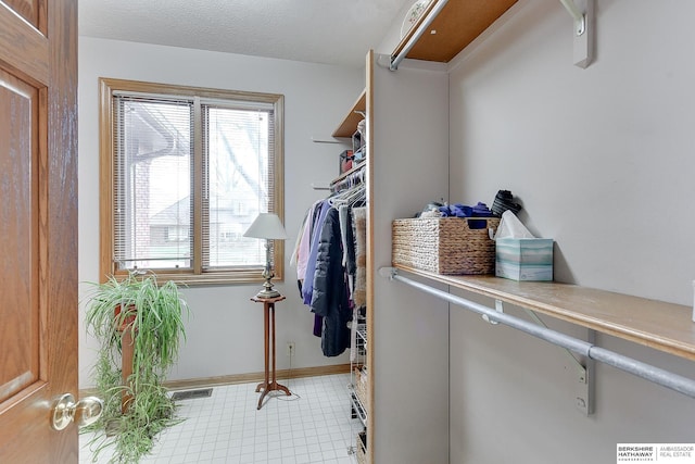 view of spacious closet