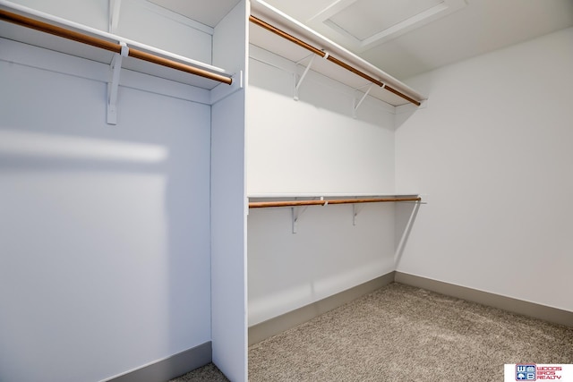 spacious closet with carpet flooring