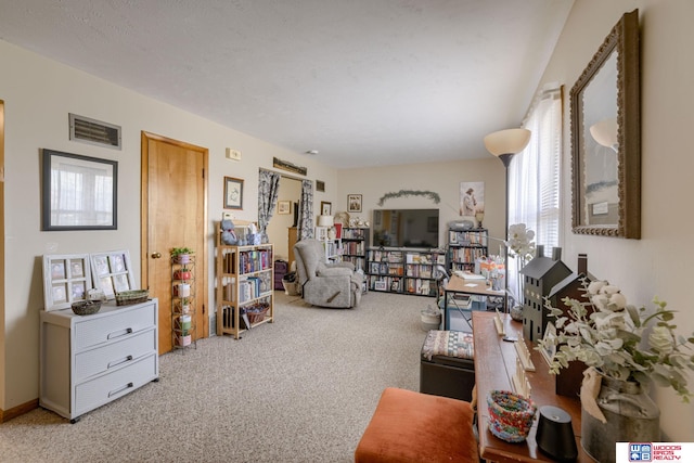 4821-31-41 Colfax Ave, Lincoln, NE 68504 - living room with light carpet and visible vents