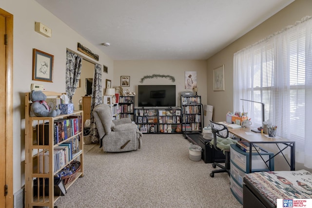 4821-31-41 Colfax Ave, Lincoln, NE 68504 - view of carpeted living area