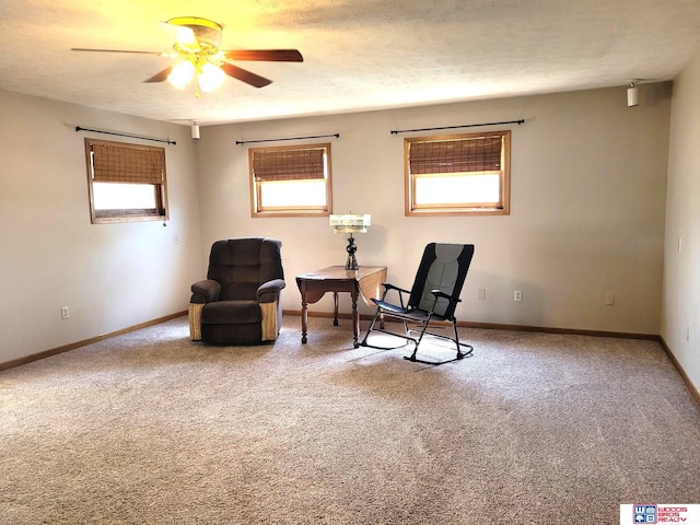 1321 Frances St, Goehner, NE 68364 - living area featuring ceiling fan, a wealth of natural light, baseboards, and carpet