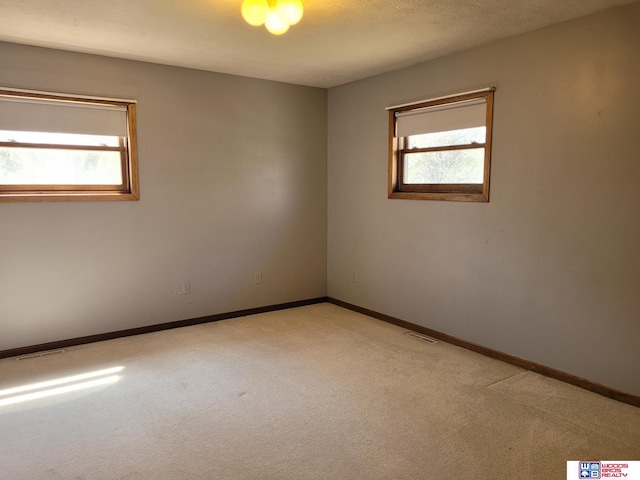 1321 Frances St, Goehner, NE 68364 - spare room featuring light colored carpet, a wealth of natural light, and baseboards