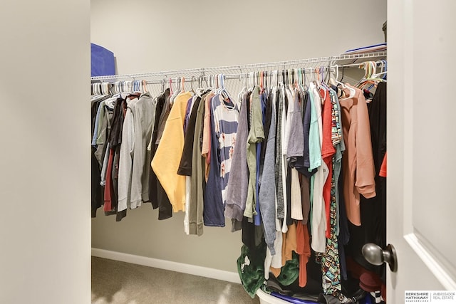 walk in closet with carpet flooring